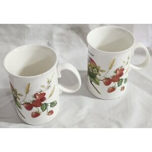 Pair Of Jason Made In England VTG Bone China Fruit Motif Mugs Cups